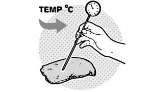 θερμόμετρο κρέατος φούρνου