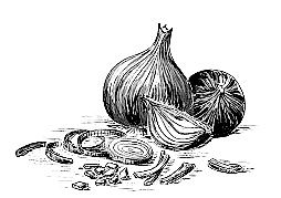 onion tart