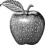 εύκολη μηλόπιτα απλ κράμπλ 